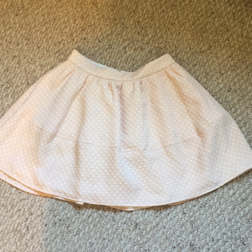 Express Skirt